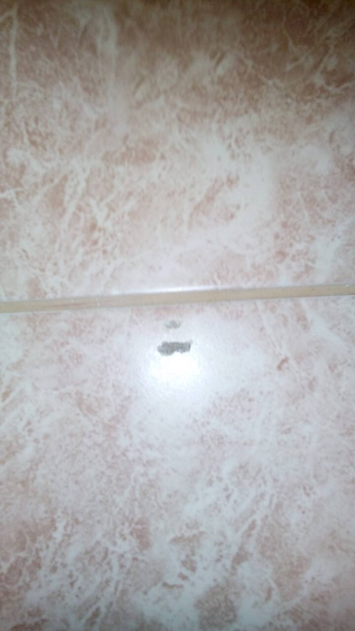 сколы на керамической плитке не допустимы, замена всей плитки на поверхности в помещении