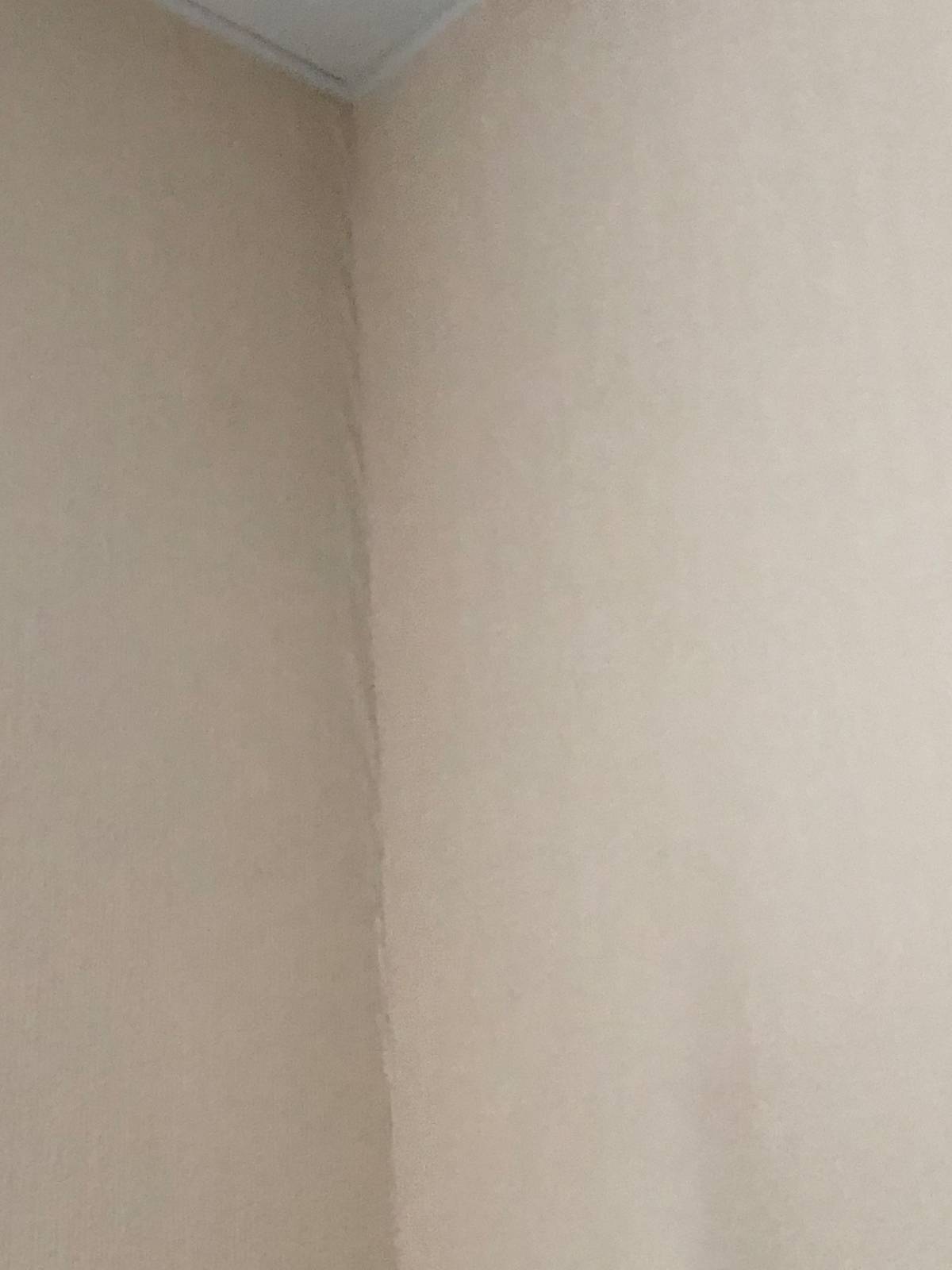 замятие обоев не допустимо, замена обоев во всем помещении